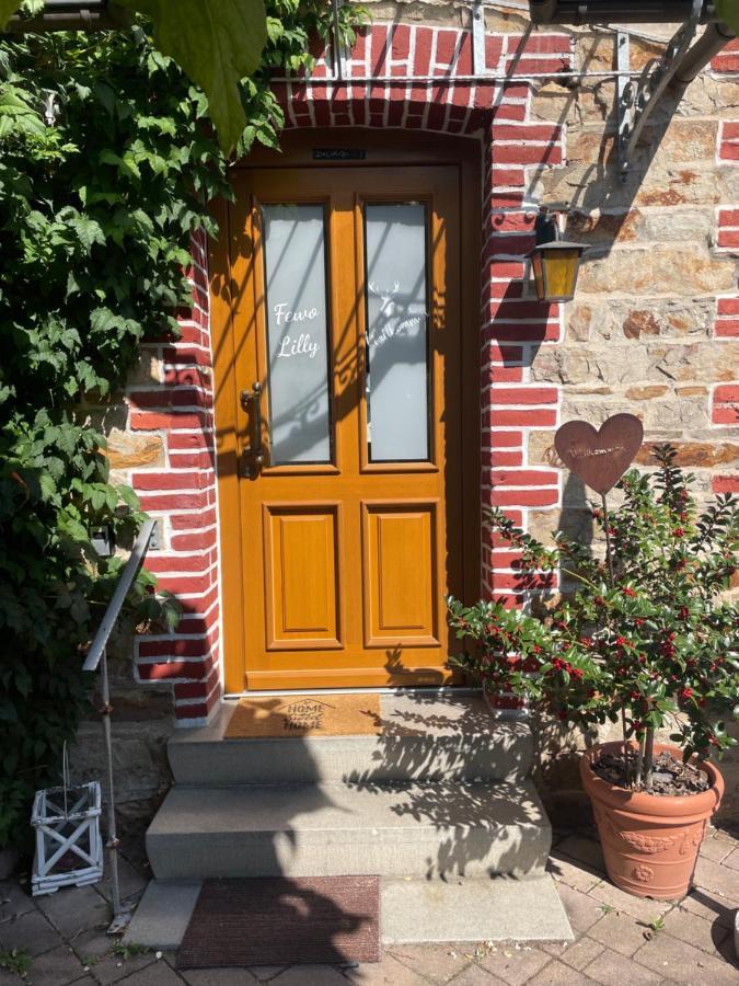 Ferienwohnung Lilly Eitelborn Kültér fotó